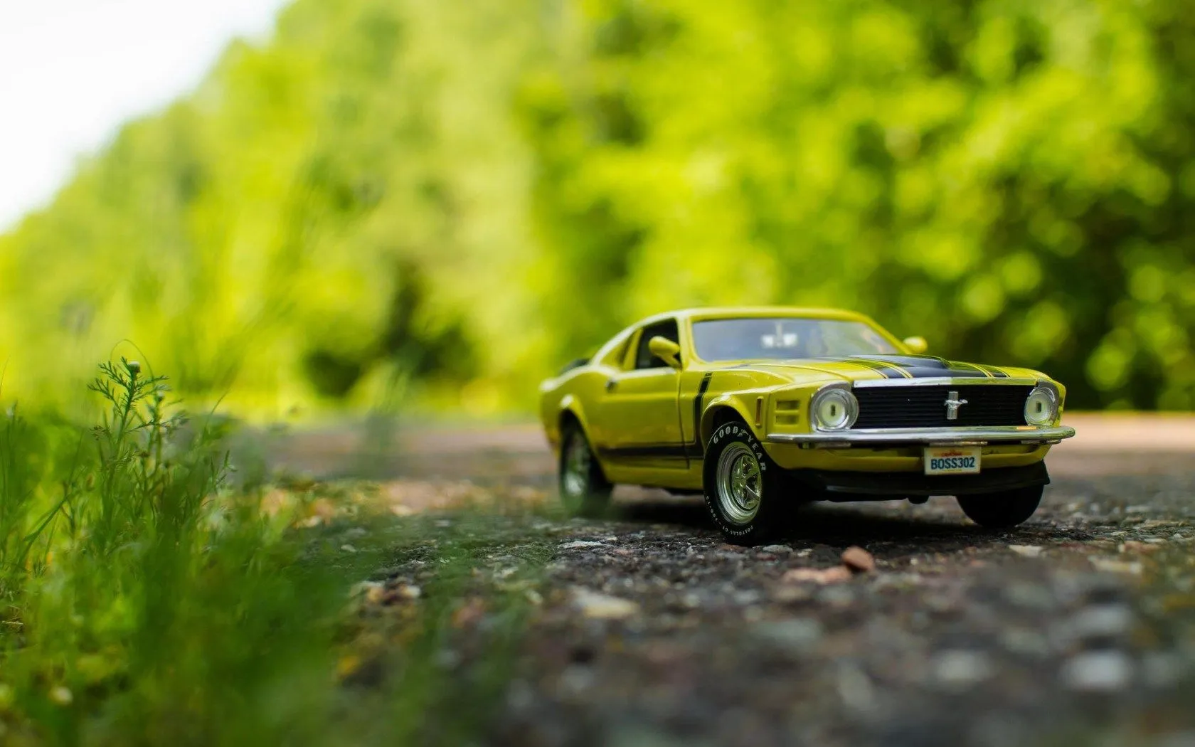 52011 diecast car collection